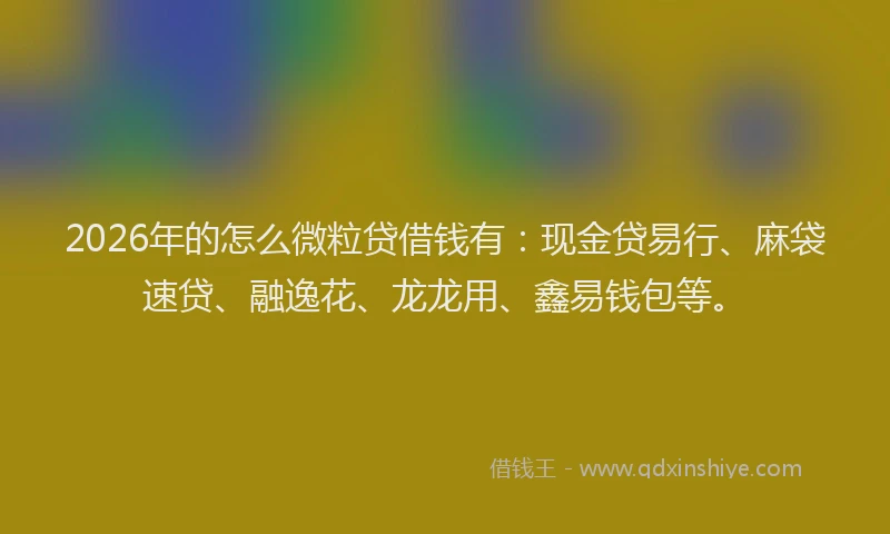 2026年的怎么微粒贷借钱有：现金贷易行、麻袋速贷、融逸花、龙龙用、鑫易钱包等。