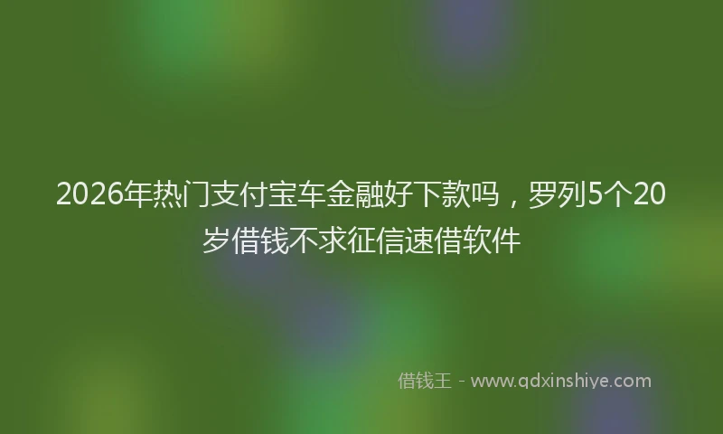 2026年热门支付宝车金融好下款吗，罗列5个20岁借钱不求征信速借软件