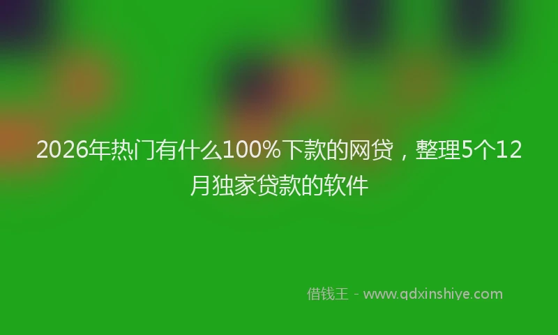 2026年热门有什么100%下款的网贷，整理5个12月独家贷款的软件