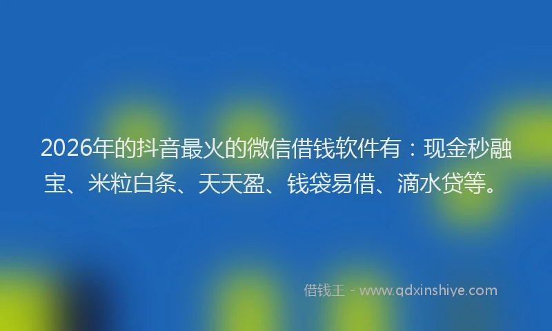 2026年的抖音最火的微信借钱软件有：现金秒融宝、米粒白条、天天盈、钱袋易借、滴水贷等。