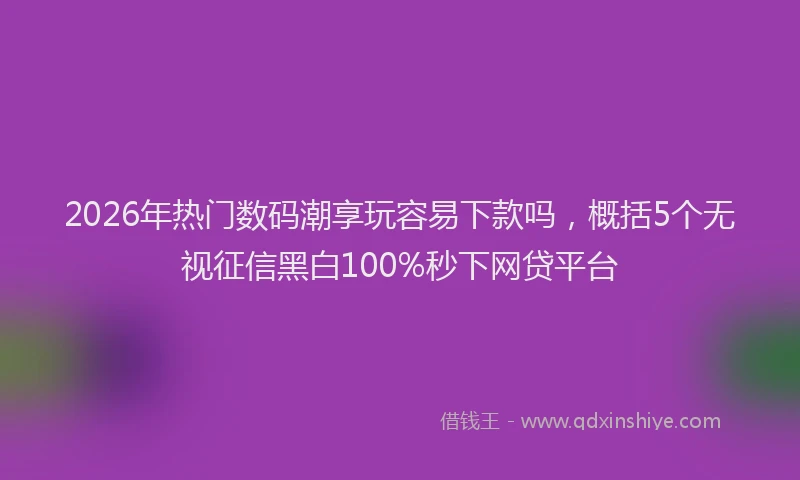 2026年热门数码潮享玩容易下款吗，概括5个无视征信黑白100%秒下网贷平台