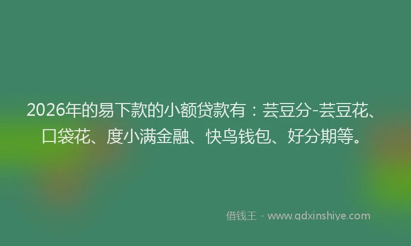 2026年的易下款的小额贷款有：芸豆分-芸豆花、口袋花、度小满金融、快鸟钱包、好分期等。