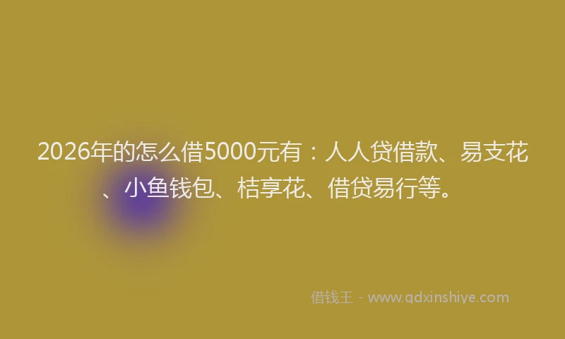 2026年的怎么借5000元有：人人贷借款、易支花、小鱼钱包、桔享花、借贷易行等。