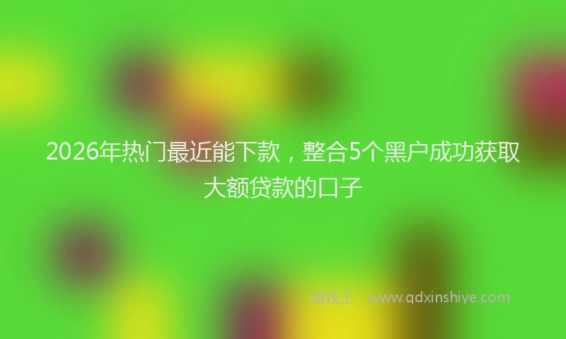 2026年热门最近能下款，整合5个黑户成功获取大额贷款的口子