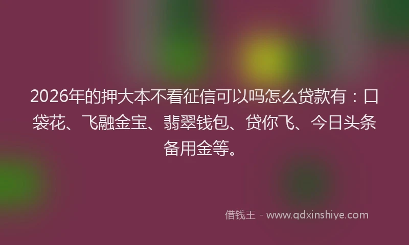 2026年的押大本不看征信可以吗怎么贷款有：口袋花、飞融金宝、翡翠钱包、贷你飞、今日头条备用金等。
