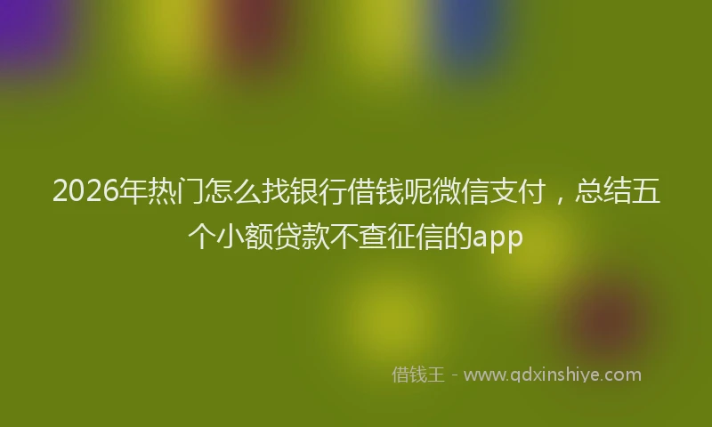 2026年热门怎么找银行借钱呢微信支付,总结五个小额贷款不查征信的app