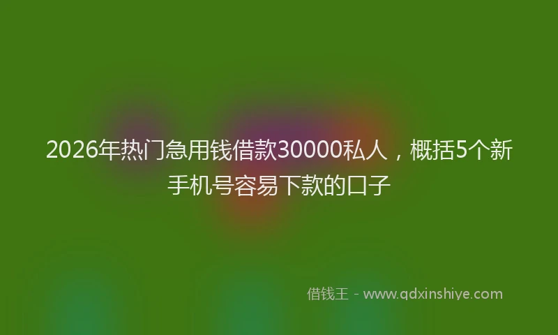 2026年热门急用钱借款30000私人,概括5个新手机号容易下款的口子