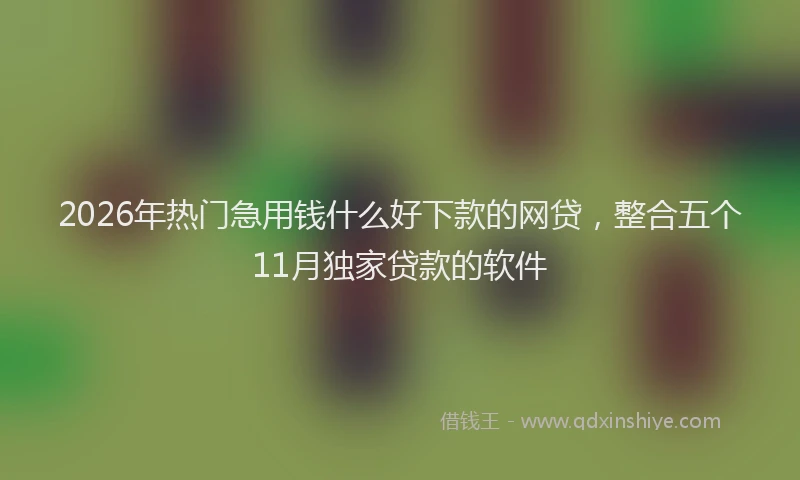 2026年热门急用钱什么好下款的网贷，整合五个11月独家贷款的软件