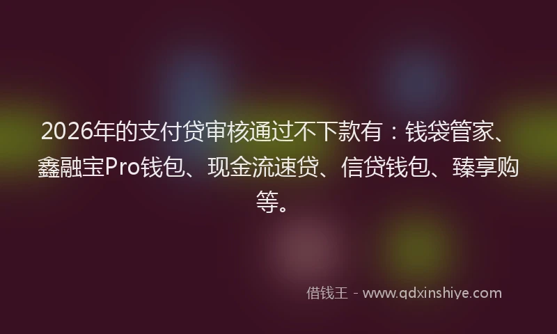 2026年的支付贷审核通过不下款有：钱袋管家、鑫融宝Pro钱包、现金流速贷、信贷钱包、臻享购等。