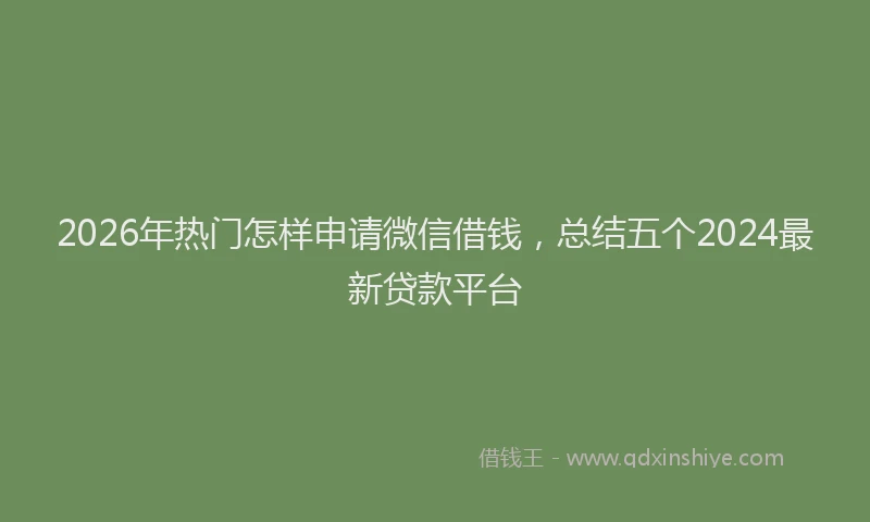 2026年热门怎样申请微信借钱，总结五个2024最新贷款平台