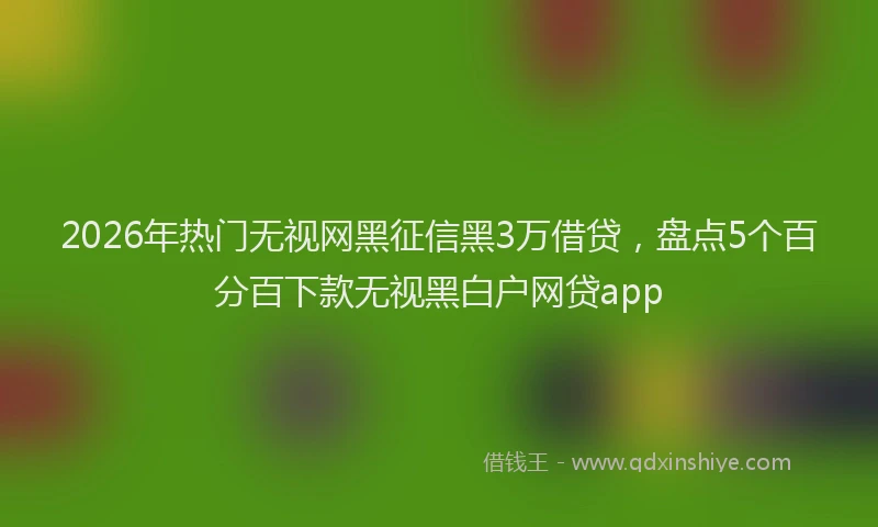2026年热门无视网黑征信黑3万借贷，盘点5个百分百下款无视黑白户网贷app
