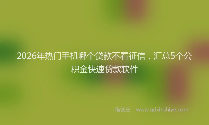 2026年热门手机哪个贷款不看征信，汇总5个公积金快速贷款软件