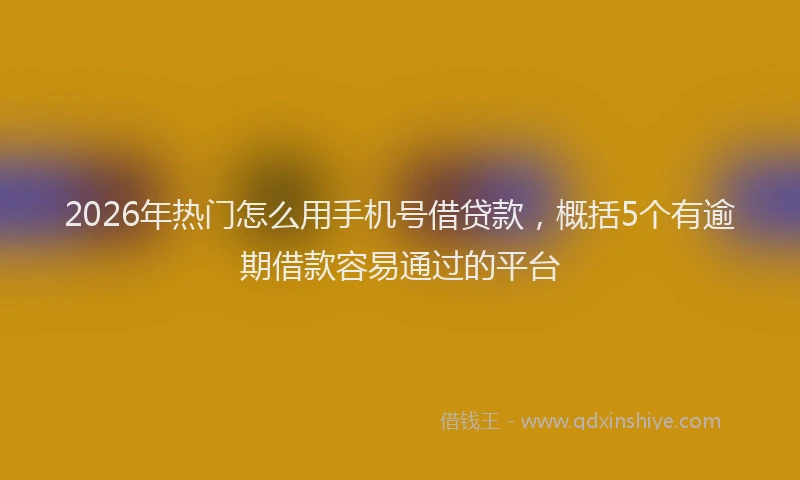 2026年热门怎么用手机号借贷款，概括5个有逾期借款容易通过的平台