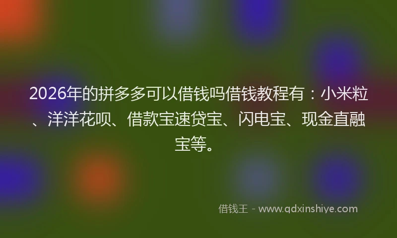 2026年的拼多多可以借钱吗借钱教程有：小米粒、洋洋花呗、借款宝速贷宝、闪电宝、现金直融宝等。