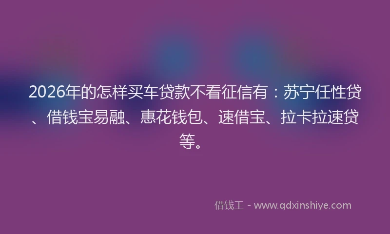 2026年的怎样买车贷款不看征信有：苏宁任性贷、借钱宝易融、惠花钱包、速借宝、拉卡拉速贷等。