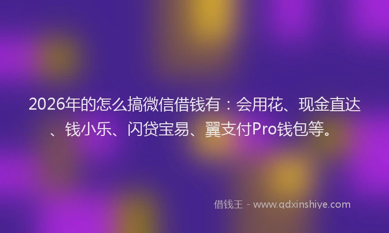 2026年的怎么搞微信借钱有：会用花、现金直达、钱小乐、闪贷宝易、翼支付Pro钱包等。