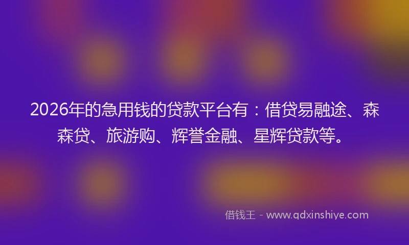 2026年的急用钱的贷款平台有:借贷易融途、森森贷、旅游购、辉誉金融、星辉贷款等。