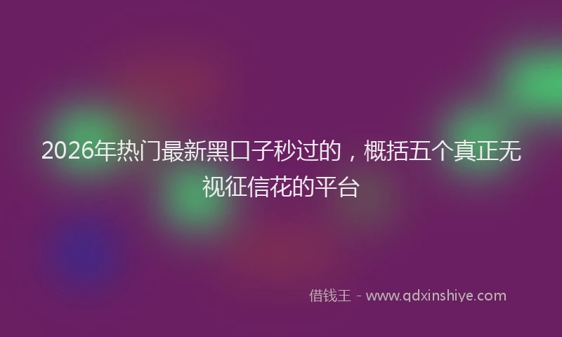2026年热门最新黑口子秒过的，概括五个真正无视征信花的平台