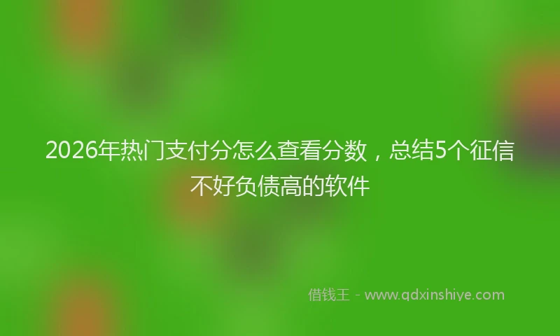 2026年热门支付分怎么查看分数，总结5个征信不好负债高的软件