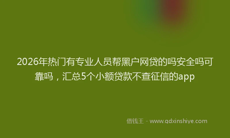2026年热门有专业人员帮黑户网贷的吗安全吗可靠吗，汇总5个小额贷款不查征信的app