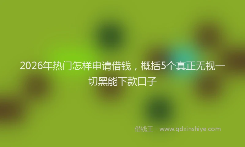 2026年热门怎样申请借钱，概括5个真正无视一切黑能下款口子