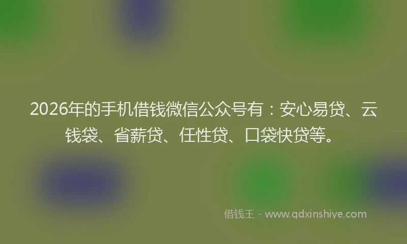 2026年的手机借钱微信公众号有:安心易贷、云钱袋、省薪贷、任性贷、口袋快贷等。