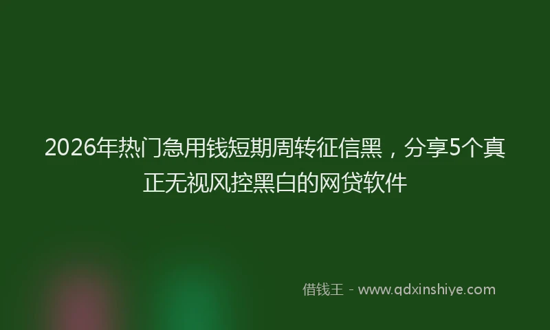 2026年热门急用钱短期周转征信黑,分享5个真正无视风控黑白的网贷软件