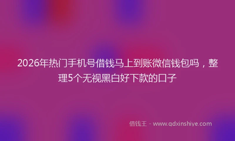 2026年热门手机号借钱马上到账微信钱包吗，整理5个无视黑白好下款的口子