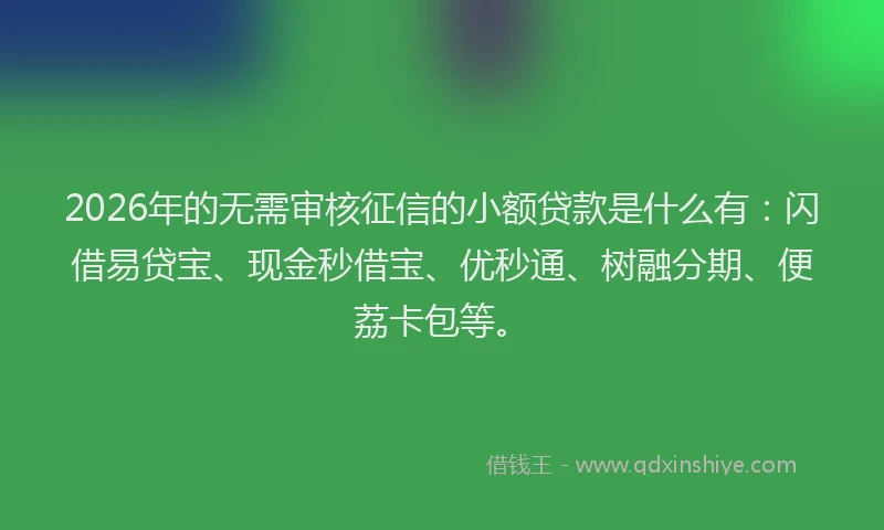 2026年的无需审核征信的小额贷款是什么有：闪借易贷宝、现金秒借宝、优秒通、树融分期、便荔卡包等。