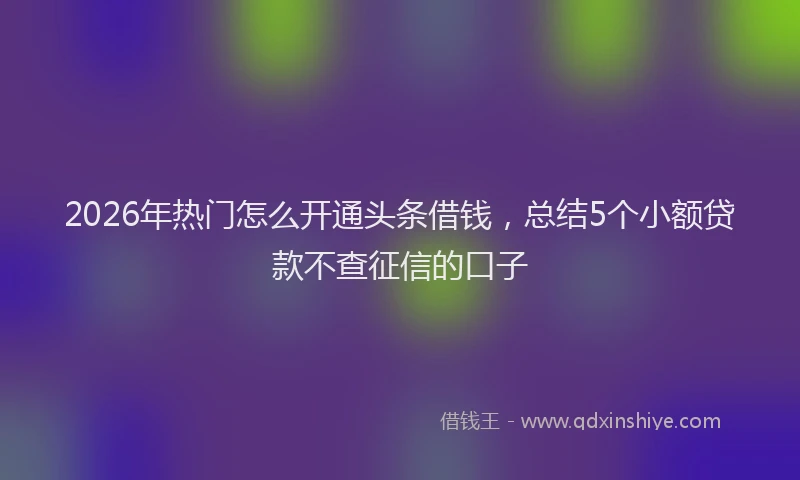 2026年热门怎么开通头条借钱，总结5个小额贷款不查征信的口子