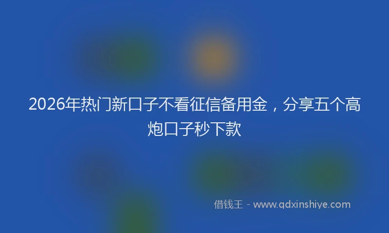 2026年热门新口子不看征信备用金，分享五个高炮口子秒下款