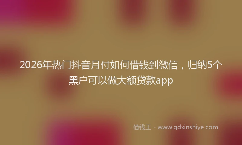 2026年热门抖音月付如何借钱到微信，归纳5个黑户可以做大额贷款app