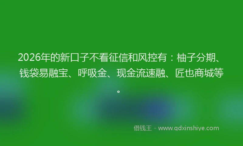 2026年的新口子不看征信和风控有：柚子分期、钱袋易融宝、呼吸金、现金流速融、匠也商城等。