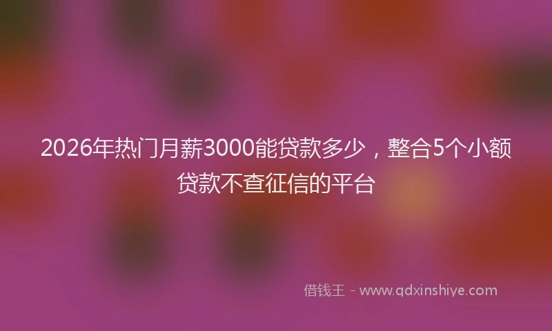 2026年热门月薪3000能贷款多少，整合5个小额贷款不查征信的平台