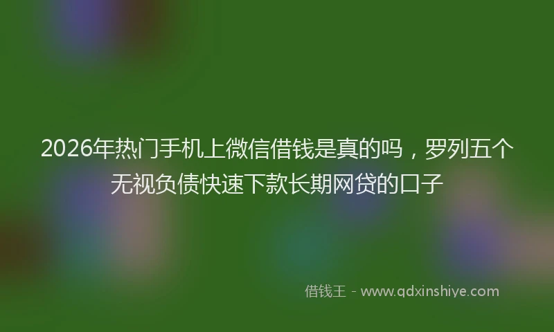 2026年热门手机上微信借钱是真的吗，罗列五个无视负债快速下款长期网贷的口子