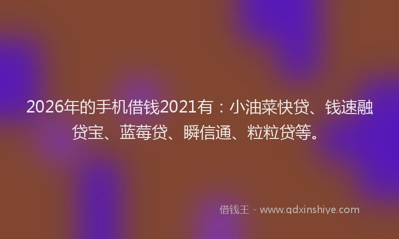2026年的手机借钱2021有:小油菜快贷、钱速融贷宝、蓝莓贷、瞬信通、粒粒贷等。