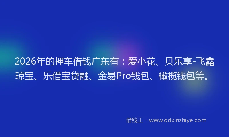 2026年的押车借钱广东有：爱小花、贝乐享-飞鑫琼宝、乐借宝贷融、金易Pro钱包、橄榄钱包等。