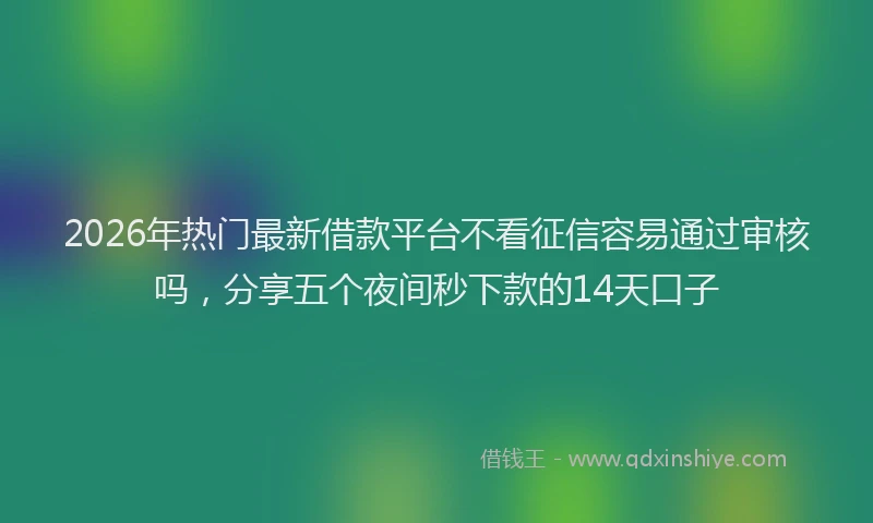 2026年热门最新借款平台不看征信容易通过审核吗，分享五个夜间秒下款的14天口子