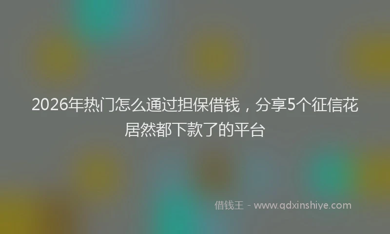 2026年热门怎么通过担保借钱，分享5个征信花居然都下款了的平台