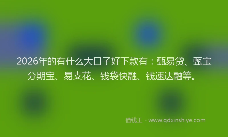 2026年的有什么大口子好下款有：甄易贷、甄宝分期宝、易支花、钱袋快融、钱速达融等。