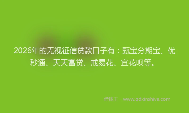 2026年的无视征信贷款口子有：甄宝分期宝、优秒通、天天富贷、戒易花、宜花呗等。