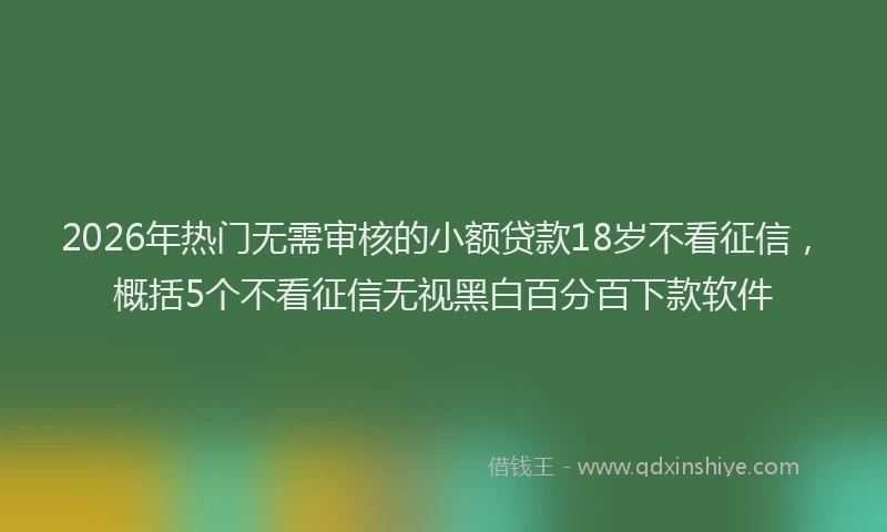 2026年热门无需审核的小额贷款18岁不看征信，概括5个不看征信无视黑白百分百下款软件