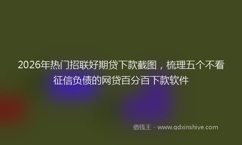 2026年热门招联好期贷下款截图,梳理五个不看征信负债的网贷百分百下款软件