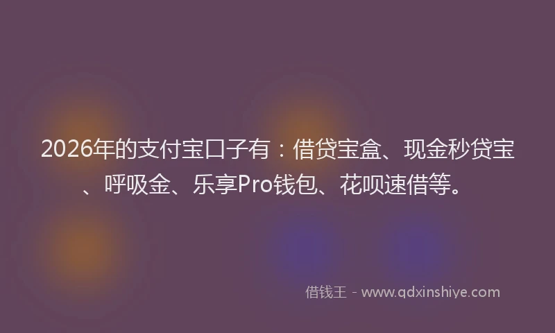 2026年的支付宝口子有：借贷宝盒、现金秒贷宝、呼吸金、乐享Pro钱包、花呗速借等。