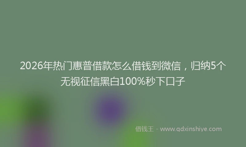 2026年热门惠普借款怎么借钱到微信，归纳5个无视征信黑白100%秒下口子