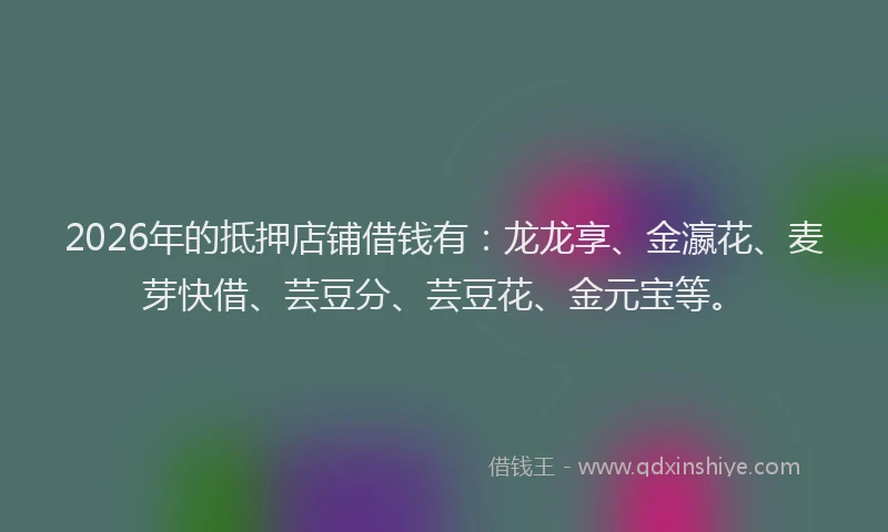 2026年的抵押店铺借钱有：龙龙享、金瀛花、麦芽快借、芸豆分、芸豆花、金元宝等。