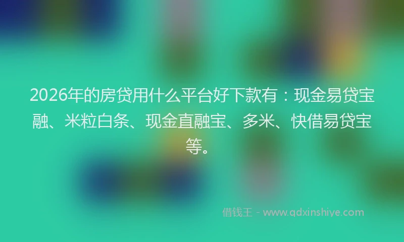 2026年的房贷用什么平台好下款有:现金易贷宝融、米粒白条、现金直融宝、多米、快借易贷宝等。