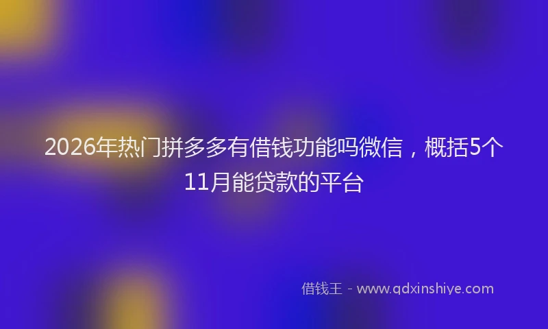 2026年热门拼多多有借钱功能吗微信，概括5个11月能贷款的平台