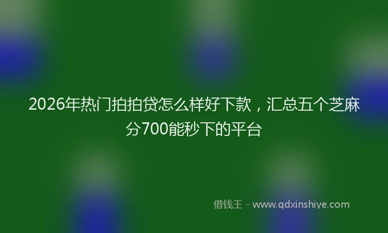 2026年热门拍拍贷怎么样好下款，汇总五个芝麻分700能秒下的平台