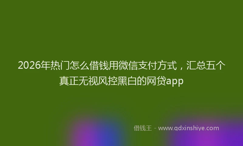 2026年热门怎么借钱用微信支付方式，汇总五个真正无视风控黑白的网贷app
